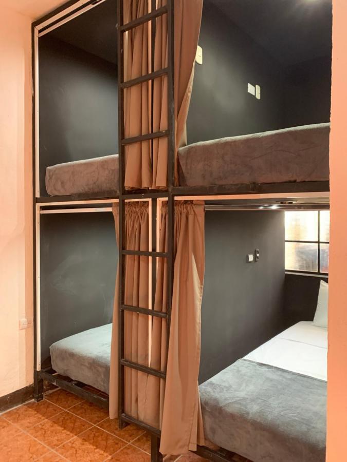 Guest house One Day Trip