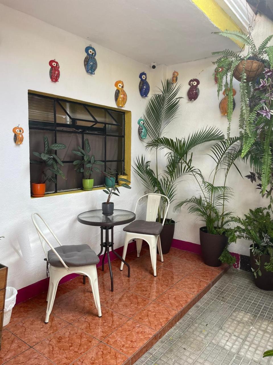 Guest house One Day Trip Antigua